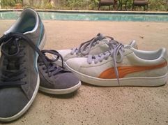zappos