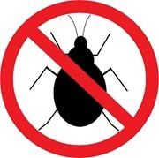 noBugs1
